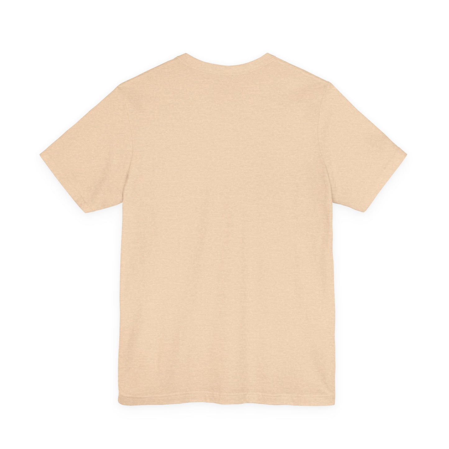 Silly Goose Teacher Tee