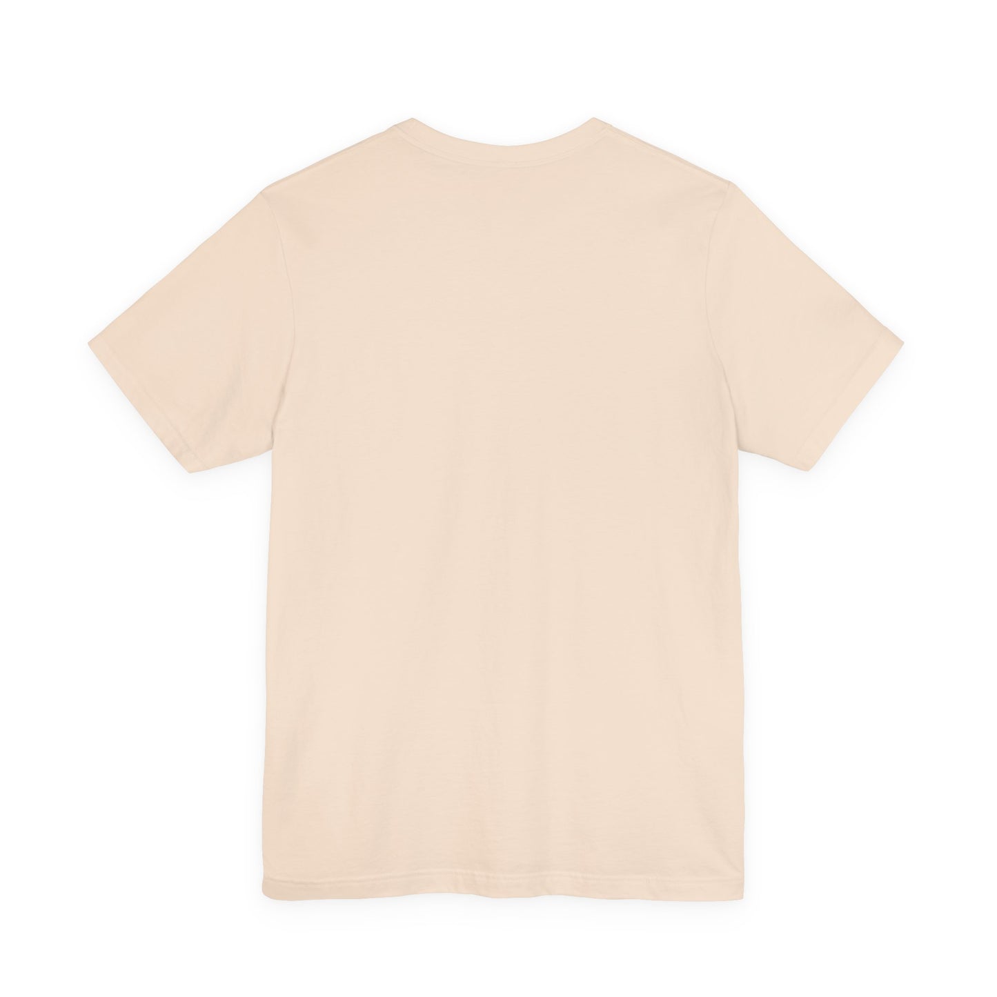 Silly Goose Teacher Tee