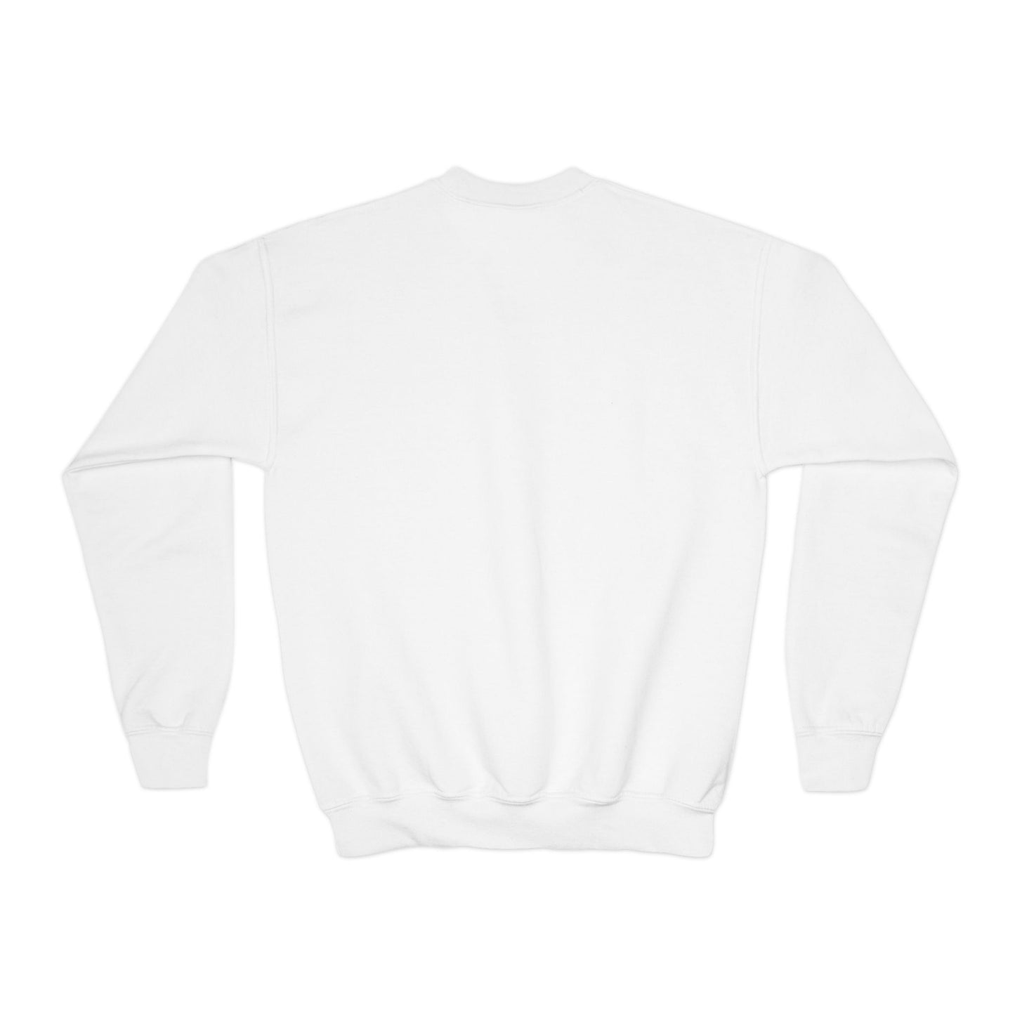 Canal Winchester Youth Crewneck Sweatshirt — Retro Stars Design
