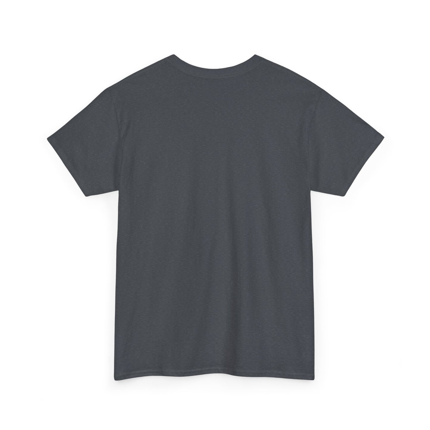 Sun Salt Sand Unisex Heavy Cotton Tee