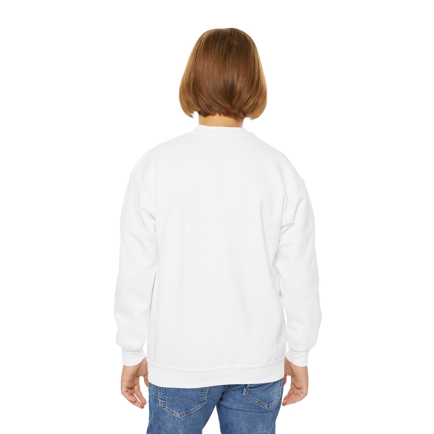 Canal Winchester Youth Crewneck Sweatshirt — Retro Stars Design