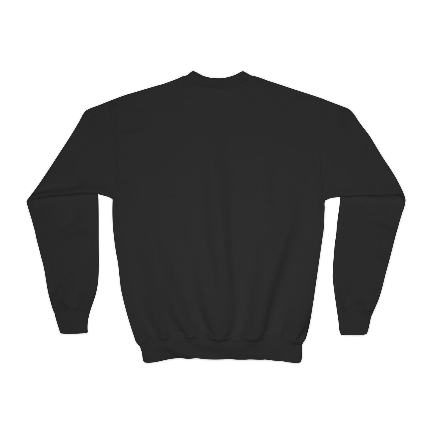 Canal Winchester Youth Crewneck Sweatshirt — Retro Stars Design