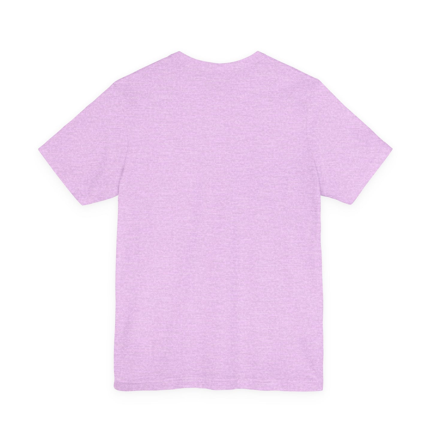 Silly Goose Teacher Tee